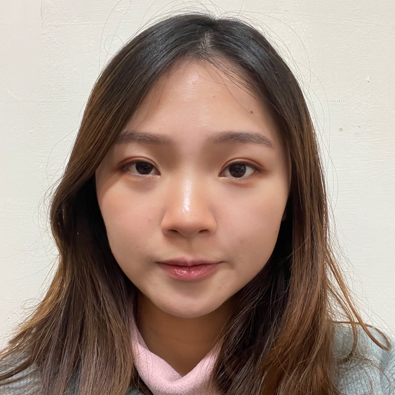 試用